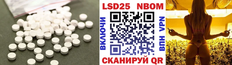 LSD-25 экстази кислота  блэк спрут сайт  Новозыбков 