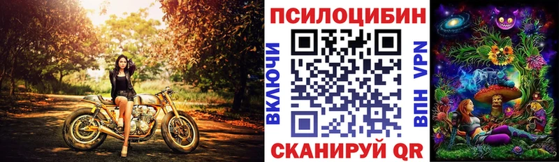 Псилоцибиновые грибы прущие грибы Новозыбков