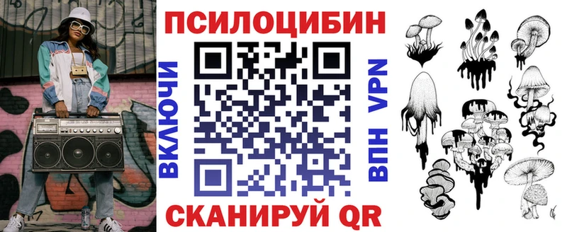 хочу наркоту Новозыбков Галлюциногенные грибы Psilocybine cubensis